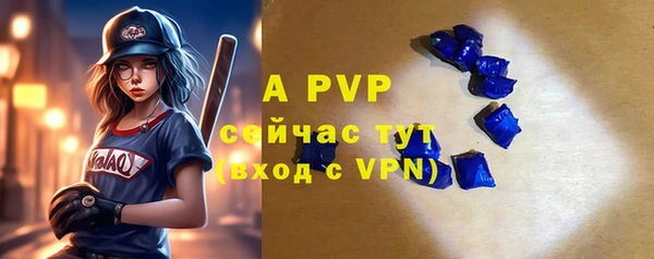 apvp Белокуриха