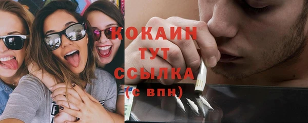 apvp Белокуриха