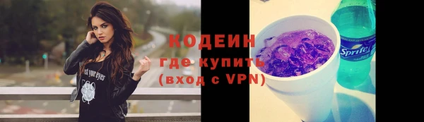 шишки Богородицк