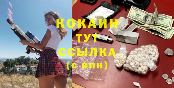 apvp Белокуриха