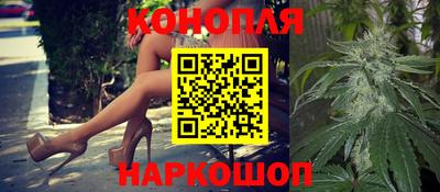 стафф Будённовск