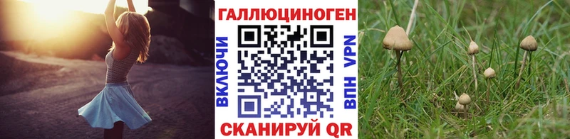 купить   Вязники  Галлюциногенные грибы ЛСД 