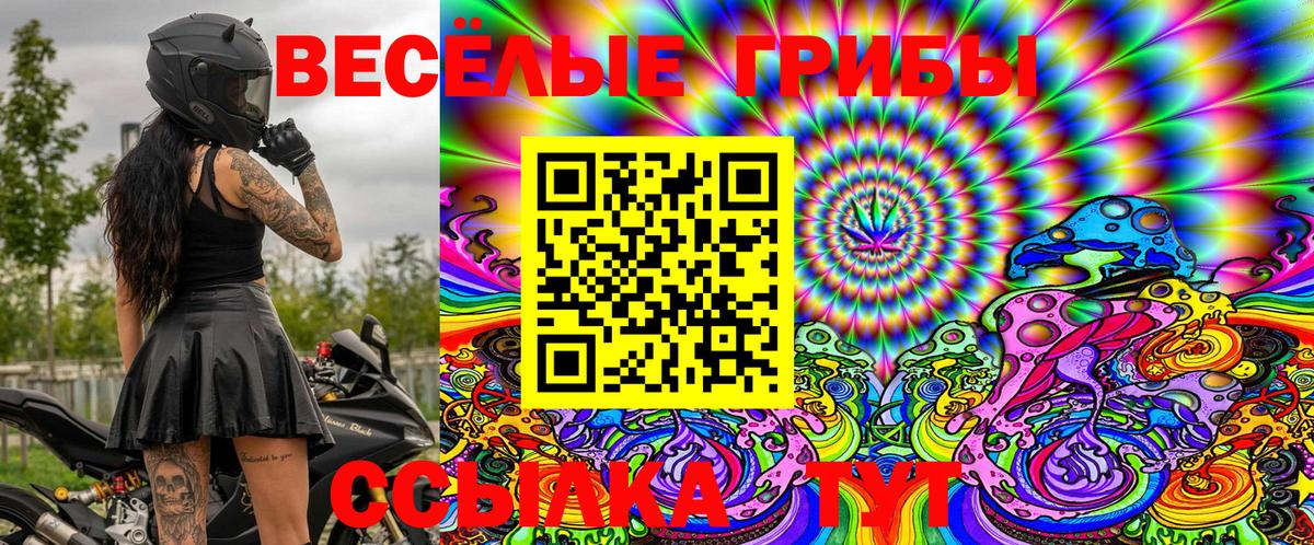 Псилоцибиновые грибы Cubensis  Вязники  Галлюциногенные грибы мицелий 