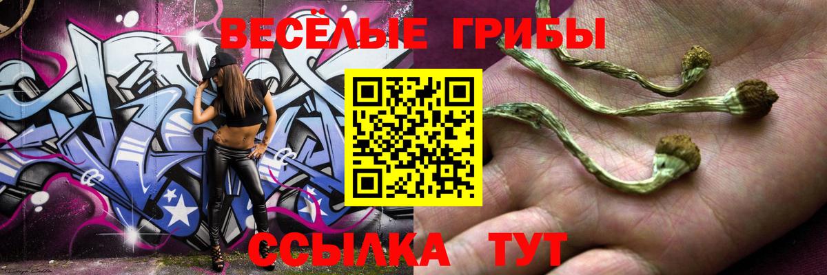 Вязники  Псилоцибиновые грибы прущие грибы  Вход с VPN 